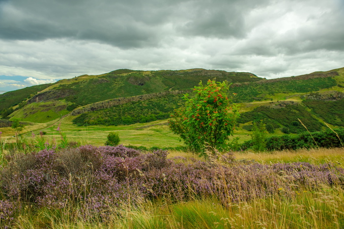 Holyrood公园，爱丁堡，公园，Holyrood公园爱丁堡，公园，Holyrood，景观，自然，草地