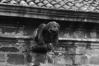 medievo, 中年, 石像鬼, 喷水口, 收集器 de agua, gárgola, 老建筑, edificio antiguo