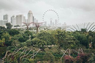 新加坡