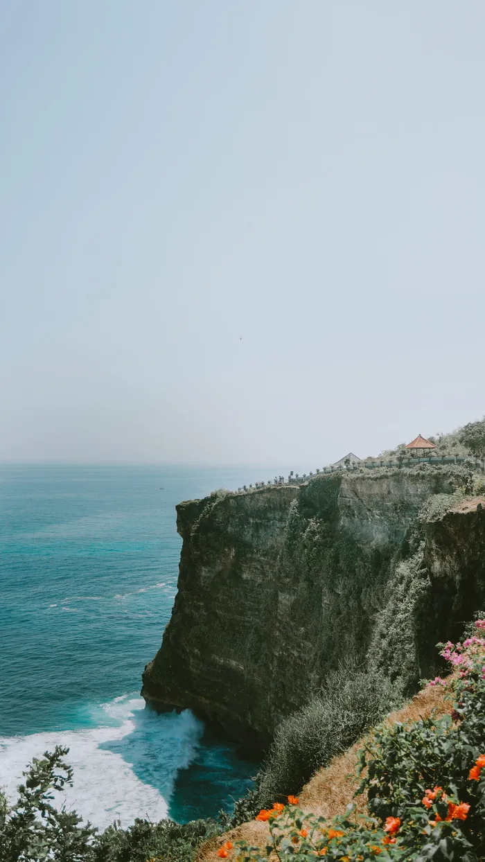 悬崖、户外、巴厘岛、植物、花卉、海洋、海洋、植物