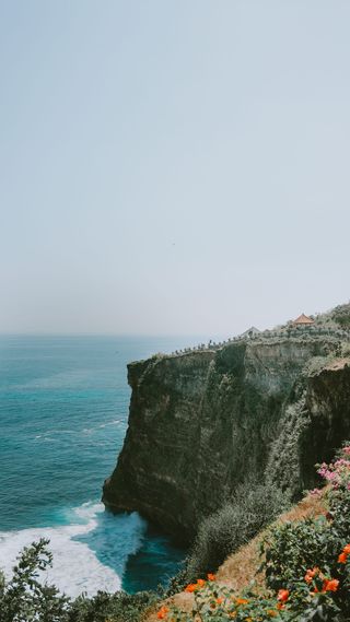 悬崖、户外、巴厘岛、植物、花卉、海洋、海洋、植物