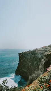 悬崖、户外、巴厘岛、植物、花卉、海洋、海洋、植物 悬崖、户外、巴厘岛、植物、花卉、海洋、海洋、植物