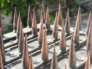 钉子，铁，安全，栅栏，木质材料，自然，聚焦前景，生锈