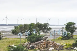 高美湿地，台中，*，风车，水，树，草，岩石