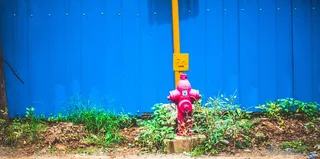 消防栓，草，叶子，土壤，蓝色，自然，表示，天