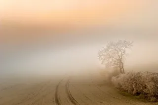 景观摄影，道路，树木，雾，黎明，景观，日落，自然