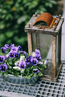 阳光明媚的花园里的各种物品 阳光明媚的花园里的各种物品