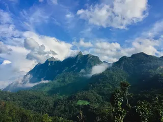 风景，山脉，自然，天空，云，白天，白天，森林