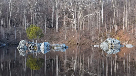美国，波托马克，大瀑布酒馆游客中心，水反射，屏幕保护程序，大瀑布波托马克，岩石，岩石树水