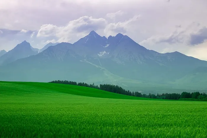 高山景观。夜晚田野里的风景。