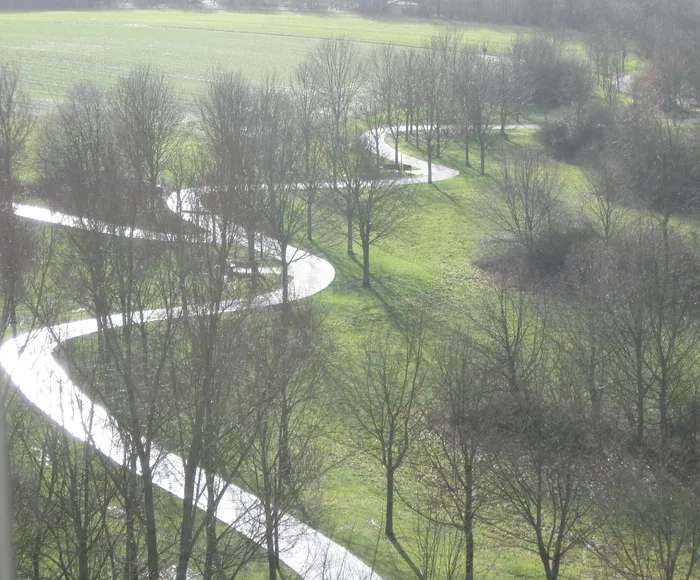 肺的消瘦，远离，观看，望向窗外，山脉，植物，树木，宁静