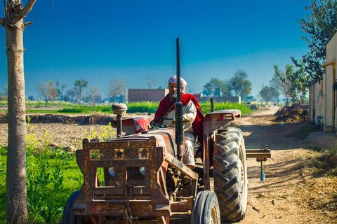 村庄区域，树木，田地，勤劳工人，村民，农民，树木，男人