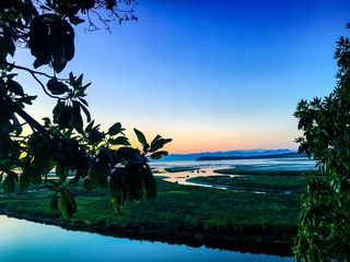 纳奈莫，加拿大，不列颠哥伦比亚省，太平洋，冒险，景观，自然，树木