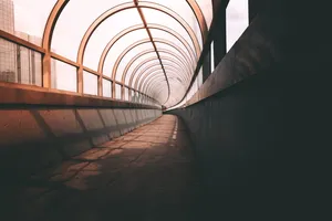 灯光、城市、建筑、桥梁、建筑、日光、玻璃、导向