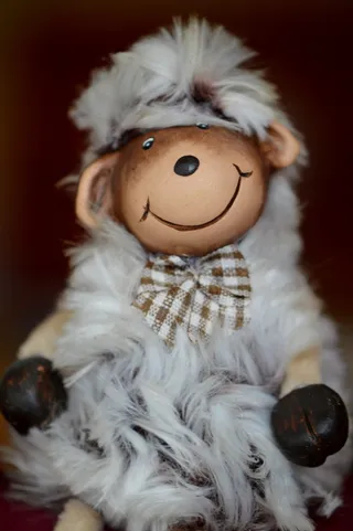 羊，有趣，可爱，快乐，表现，玩具，室内，特写