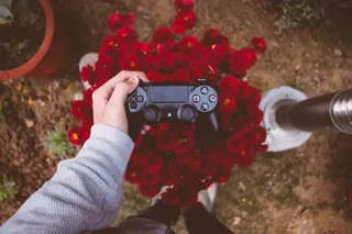 印度，新德里，dualshock 4，游戏，控制器，ps4，flower，gamer