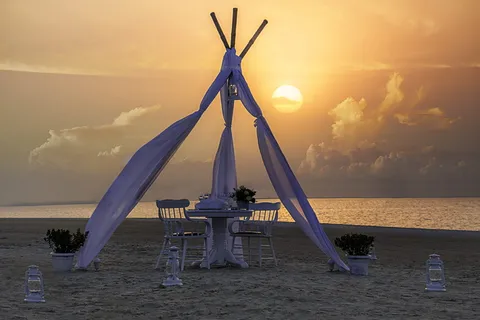 餐饮，晚餐，食物，餐厅，用餐，快乐，餐饮，烹饪