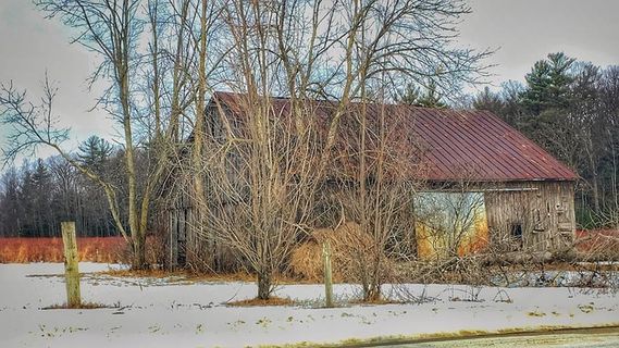 谷仓、树、蓝莓、雪、冬天、建筑结构、低温、建筑