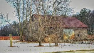 谷仓、树、蓝莓、雪、冬天、建筑结构、低温、建筑