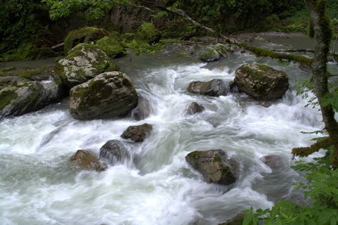 Broad Brook，Allgäu，Broad Brook clammy，clammy，kleinwalsertal，river，bach，rock