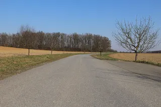 远离，道路，风景，只是，树，植物，天空，前进的道路