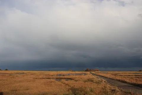 美国，罗利，沼泽，风暴，土路，天空，云天，环境