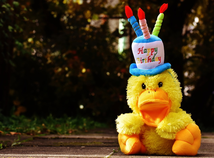 快乐，生日鸭子，毛绒，玩具，棕色，木制，表面，生日