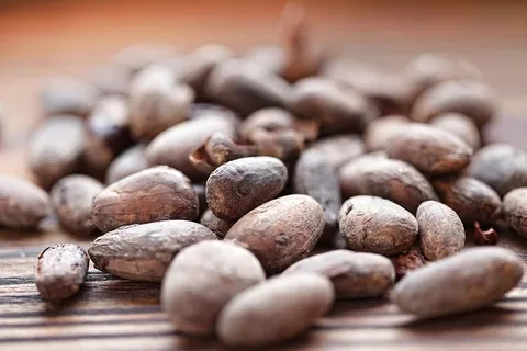 坚果、植物、食物、蔬菜、农产品、谷物、坚果、种子 坚果、植物、食物、蔬菜、农产品、谷物、坚果、种子