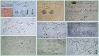 好莱坞大道，好莱坞，好莱坞大道，好莱坞，好莱坞明星，洛杉矶，明星，电影，迪恩·马丁