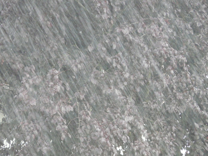 倾盆大雨，暴雨，雨，颤抖，潮湿，水，雨滴，风暴