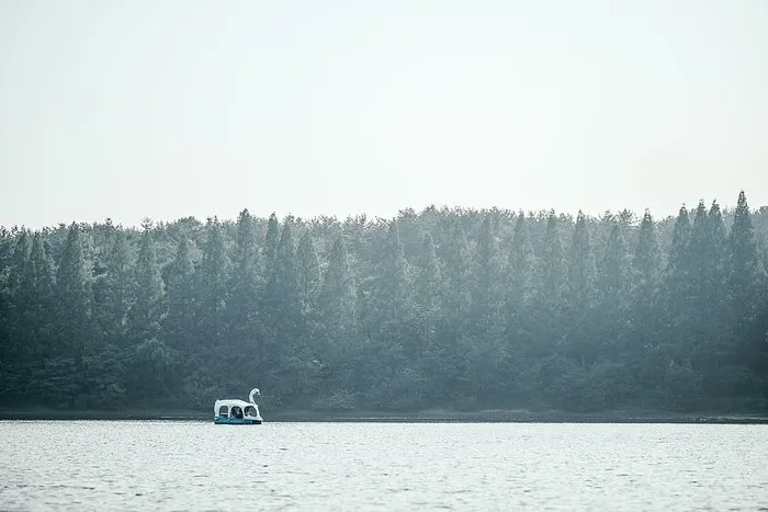韩国，冈山，50米龙洞，湖泊，游乐园，公园，鸭子，森林