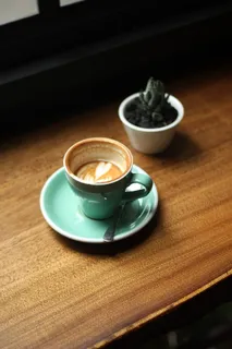 印尼,菲尔莫咖啡,玻璃,仙人掌,窗户,咖啡,饮料,拿铁 印尼,菲尔莫咖啡,玻璃,仙人掌,窗户,咖啡,饮料,拿铁