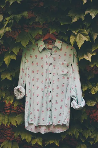 叶子，图案，植物部分，天，植物，花图案，绿色，没有人