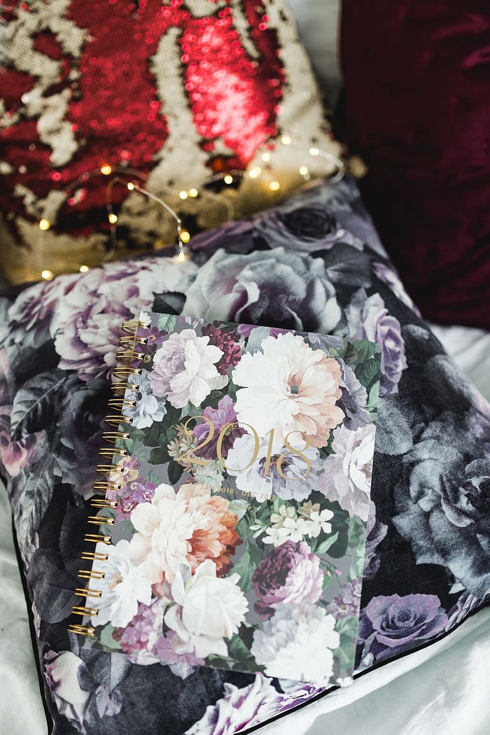 Violet 2018日计划