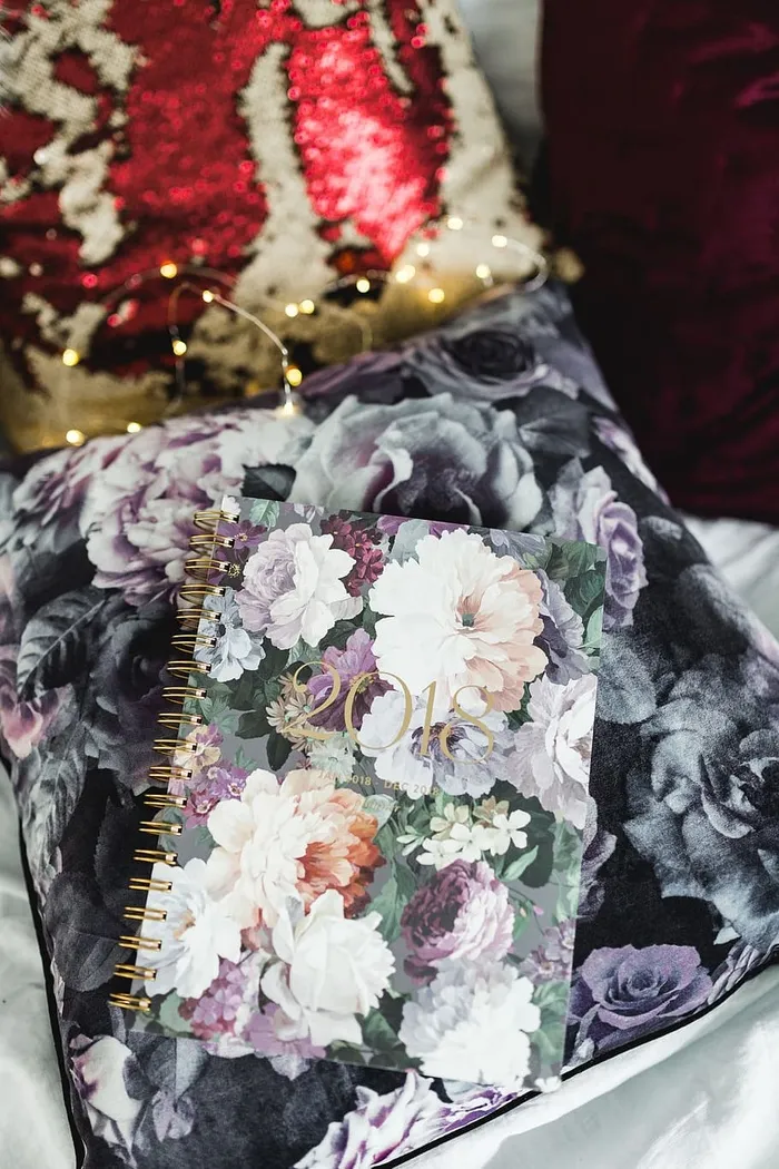 Violet 2018日计划