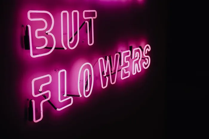 除了霓虹灯下的花朵什么都没有