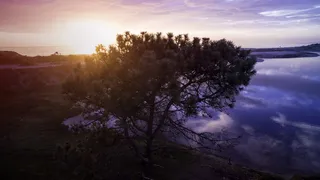 美国, 恩西尼塔斯, 空中, 海滩, 天空, 无人驾驶飞机, 树, 圣地亚哥