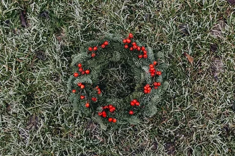 圣诞快乐的冬青花环