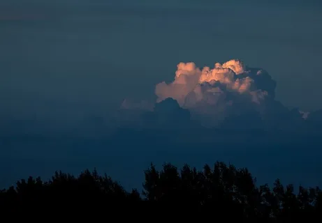 云的形成,森林,云,天空,自然,风景,树木,森林 云的形成,森林,云,天空,自然,风景,树木,森林