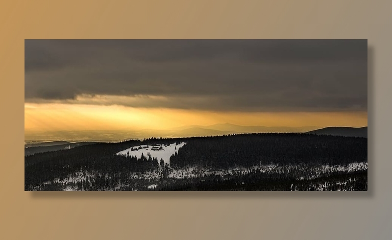 黎明，黄昏，森林，田园诗，风景，光线，户外，风景