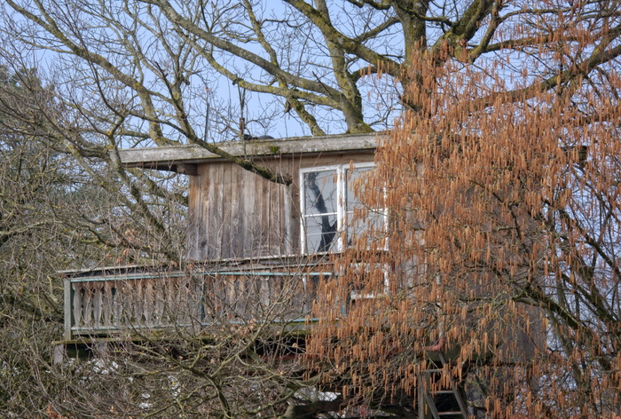 树屋, 小屋, 树, 自然, 首页, 生活, 住宿, 树屋