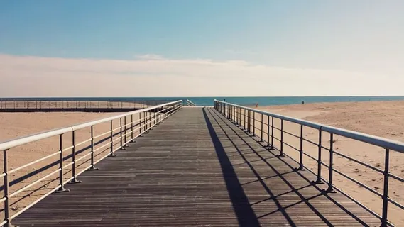 蓝色，天空，云朵，阳光，夏天，海滩，沙滩，树林