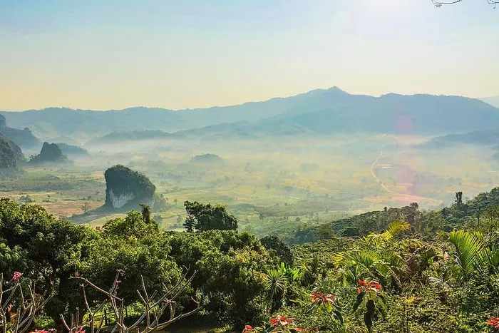 山景
