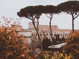 意大利，罗马大都会，罗马论坛，建筑，罗马，树木，景观，斗兽场