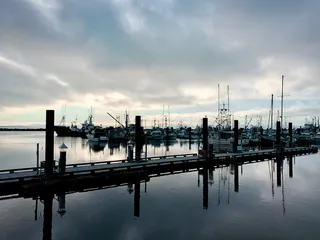 水，海滨，港口，码头，加拿大，里士满，马里纳，海湾街3820号