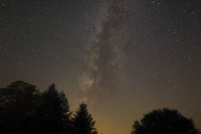 虫眼，星星，日落，自然，风景，树木，树叶，阴影