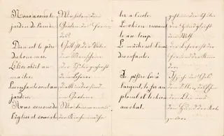 德语、法语、演讲、写作、文化、交流、语言、翻译