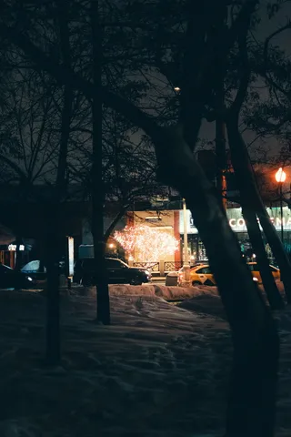 夜间车辆停在建筑物旁边