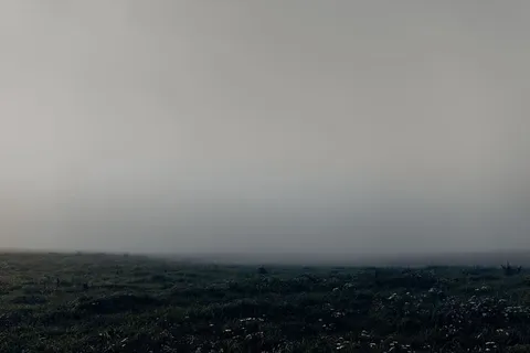 田野,雾,草,灰色,风景,环境,天空,自然之美 田野,雾,草,灰色,风景,环境,天空,自然之美