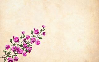 单枝植物，有许多粉红色的花。